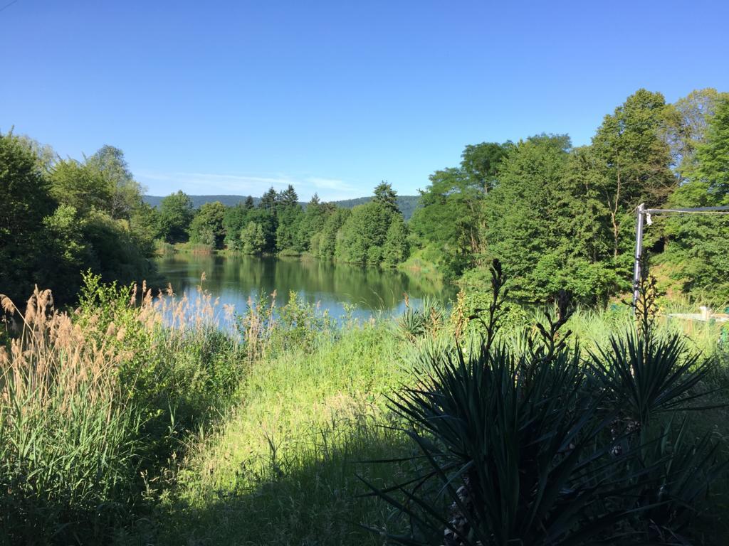 Guesthouse Lichtenau Nußloch Buitenkant foto